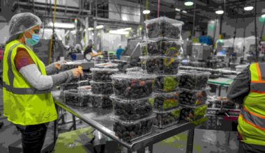 overseas jobs