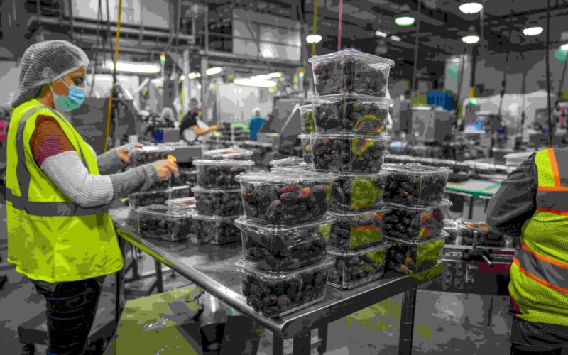 overseas jobs